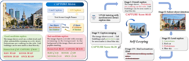 Figure 1 for Benchmarking and Improving Detail Image Caption