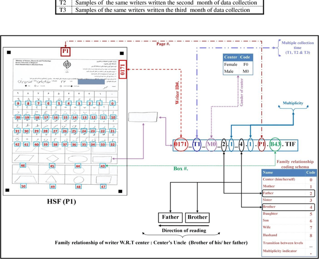 Figure 4 for A comprehensive Persian offline handwritten database for investigating the effects of heritability and family relationships on handwriting