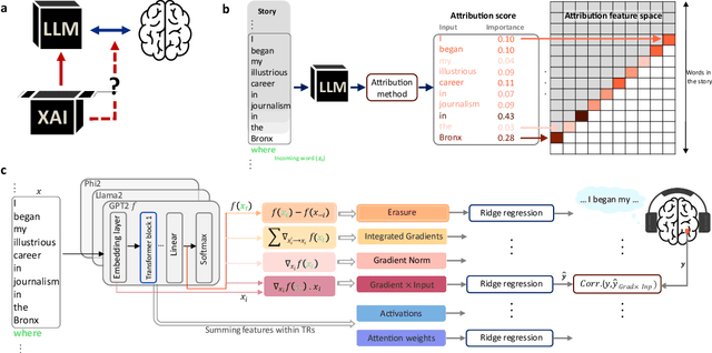 Figure 1 for Explanations of Deep Language Models Explain Language Representations in the Brain