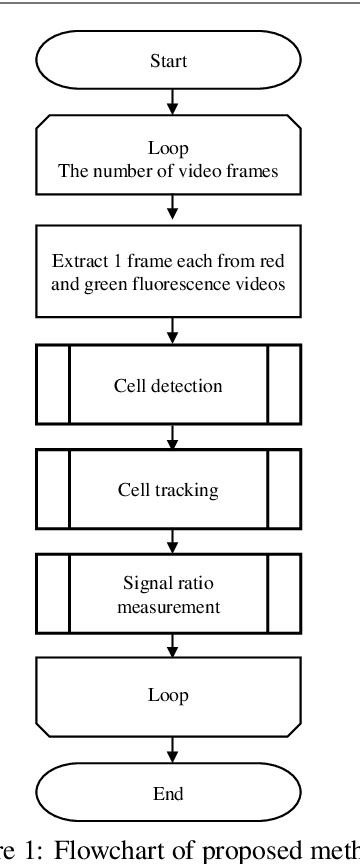 Figure 1 for Method of Tracking and Analysis of Fluorescent-Labeled Cells Using Automatic Thresholding and Labeling