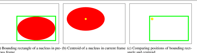 Figure 3 for Method of Tracking and Analysis of Fluorescent-Labeled Cells Using Automatic Thresholding and Labeling