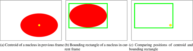 Figure 4 for Method of Tracking and Analysis of Fluorescent-Labeled Cells Using Automatic Thresholding and Labeling