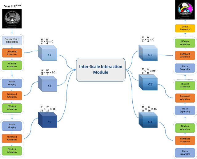 Figure 1 for TransDAE: Dual Attention Mechanism in a Hierarchical Transformer for Efficient Medical Image Segmentation