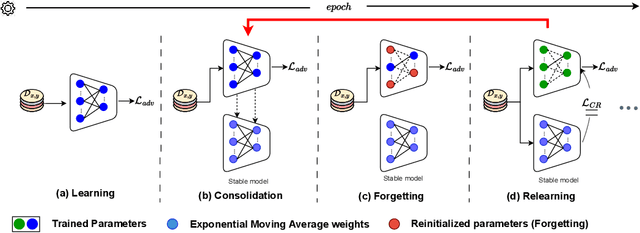 Figure 3 for The Effectiveness of Random Forgetting for Robust Generalization