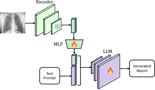 Figure 1 for Evaluating Vision Language Model Adaptations for Radiology Report Generation in Low-Resource Languages