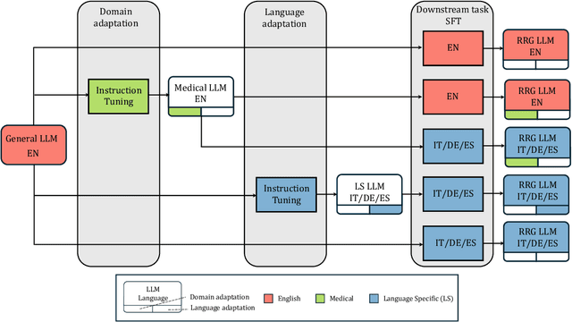 Figure 2 for Evaluating Vision Language Model Adaptations for Radiology Report Generation in Low-Resource Languages