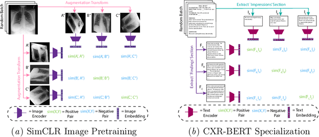 Figure 1 for Vision-Language Modelling For Radiological Imaging and Reports In The Low Data Regime