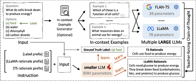 Figure 1 for TinyLLM: Learning a Small Student from Multiple Large Language Models