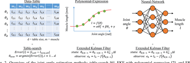 Figure 4 for A Method of Joint Angle Estimation Using Only Relative Changes in Muscle Lengths for Tendon-driven Humanoids with Complex Musculoskeletal Structures