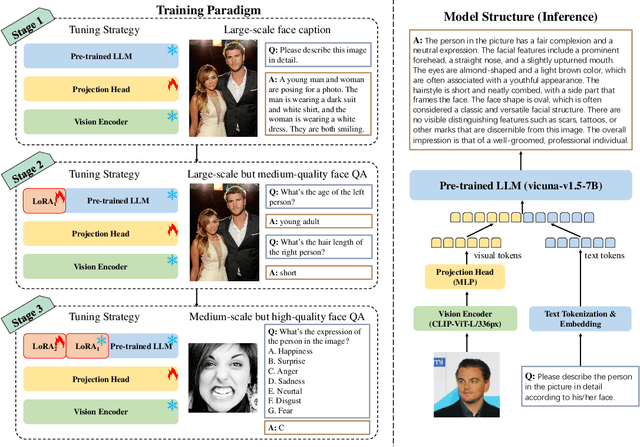 Figure 3 for Face-MLLM: A Large Face Perception Model