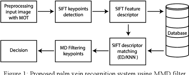 Figure 1 for Robust Palm-Vein Recognition Using the MMD Filter: Improving SIFT-Based Feature Matching