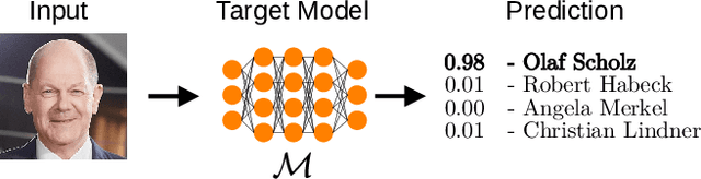 Figure 1 for Balancing Transparency and Risk: The Security and Privacy Risks of Open-Source Machine Learning Models