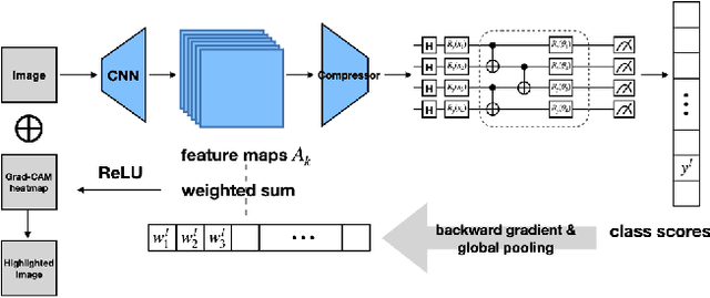 Figure 3 for Quantum Gradient Class Activation Map for Model Interpretability