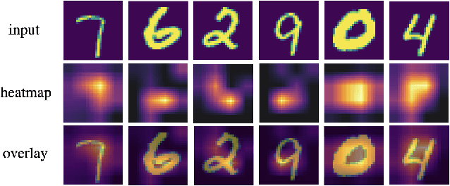 Figure 4 for Quantum Gradient Class Activation Map for Model Interpretability