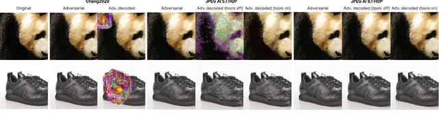 Figure 1 for Exploring adversarial robustness of JPEG AI: methodology, comparison and new methods