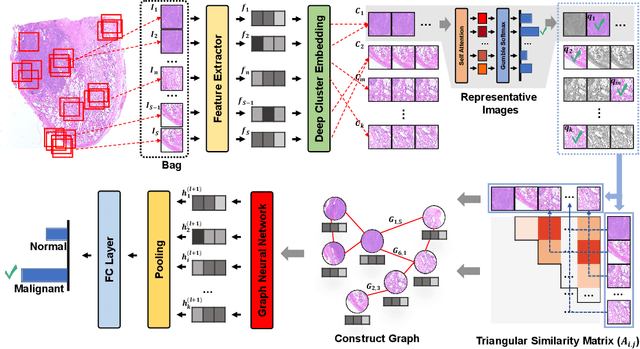 Figure 3 for MicroMIL: Graph-based Contextual Multiple Instance Learning for Patient Diagnosis Using Microscopy Images