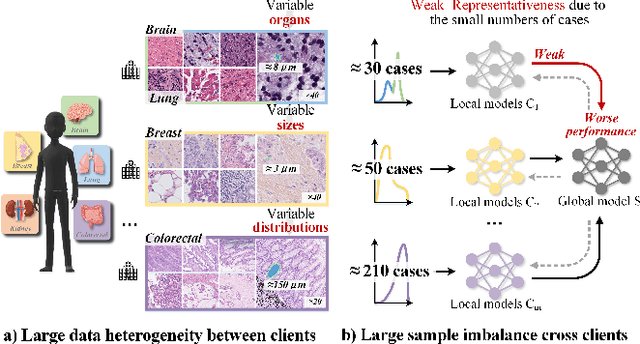 Figure 1 for FedSODA: Federated Cross-assessment and Dynamic Aggregation for Histopathology Segmentation