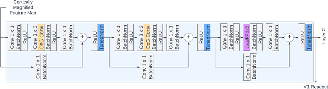 Figure 3 for Explaining V1 Properties with a Biologically Constrained Deep Learning Architecture
