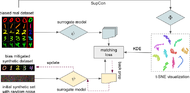 Figure 1 for Ameliorate Spurious Correlations in Dataset Condensation