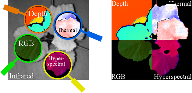 Figure 1 for 3D Multimodal Image Registration for Plant Phenotyping