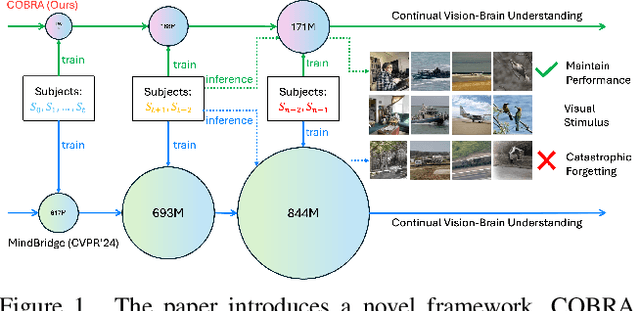 Figure 1 for COBRA: A Continual Learning Approach to Vision-Brain Understanding