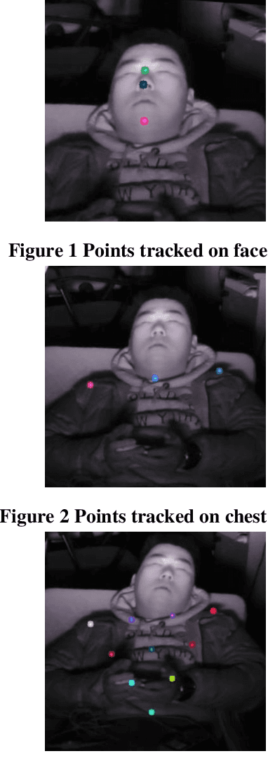 Figure 1 for Non-Contact Breathing Rate Detection Using Optical Flow