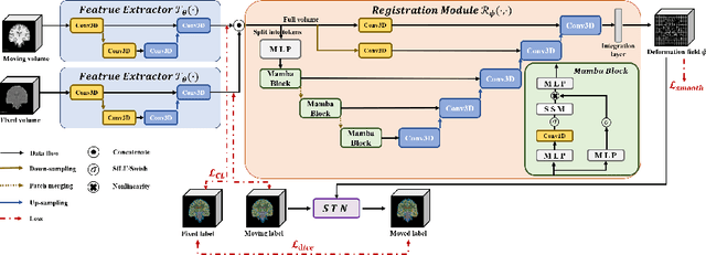 Figure 1 for MambaMorph: a Mamba-based Backbone with Contrastive Feature Learning for Deformable MR-CT Registration