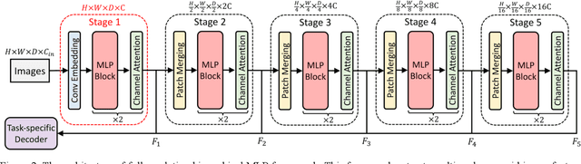 Figure 3 for Full-resolution MLPs Empower Medical Dense Prediction