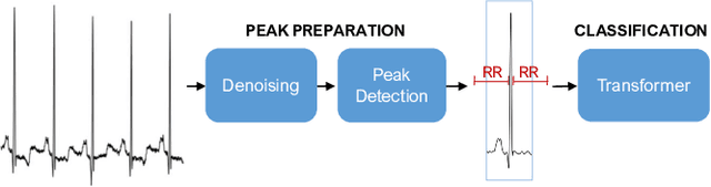 Figure 2 for A Noisy Beat is Worth 16 Words: a Tiny Transformer for Low-Power Arrhythmia Classification on Microcontrollers