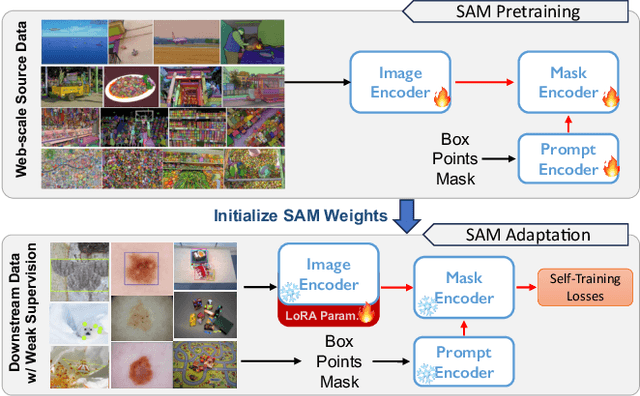 Figure 1 for Improving the Generalization of Segmentation Foundation Model under Distribution Shift via Weakly Supervised Adaptation