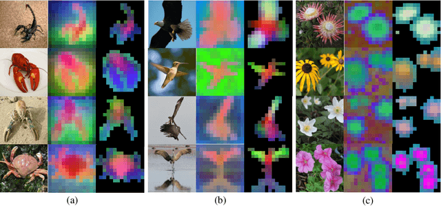 Figure 1 for Escaping The Big Data Paradigm in Self-Supervised Representation Learning