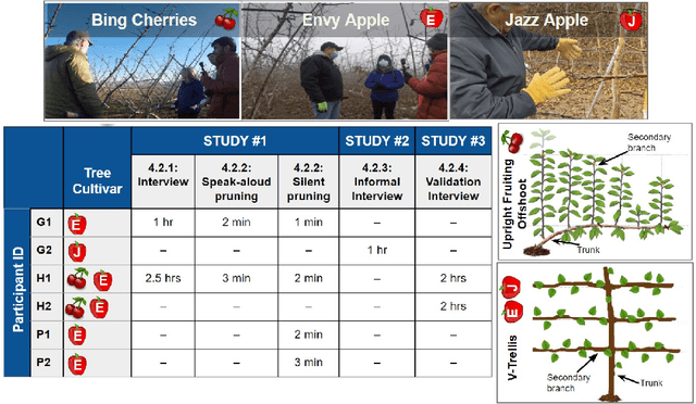 Figure 3 for Uncovering implementable dormant pruning decisions from three different stakeholder perspectives