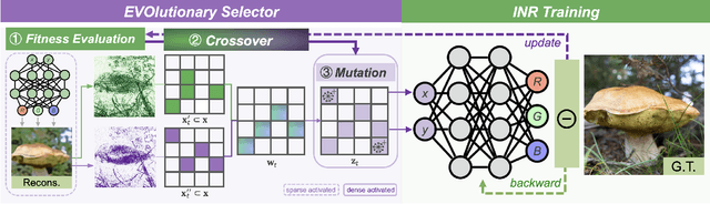 Figure 1 for EVOS: Efficient Implicit Neural Training via EVOlutionary Selector