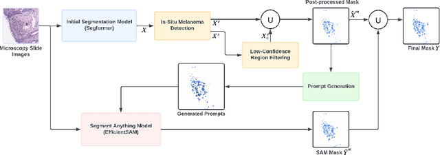 Figure 1 for Adapting Segment Anything Model to Melanoma Segmentation in Microscopy Slide Images