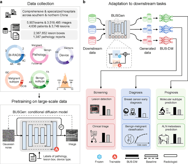 Figure 1 for A Foundational Generative Model for Breast Ultrasound Image Analysis