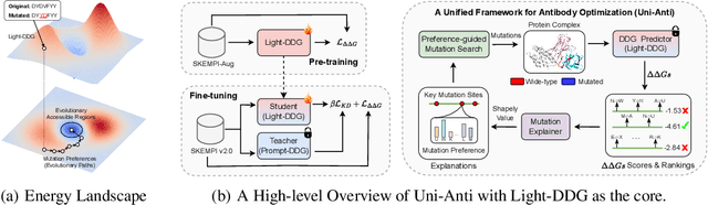 Figure 3 for A Simple yet Effective DDG Predictor is An Unsupervised Antibody Optimizer and Explainer
