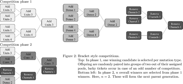 Figure 3 for ECToNAS: Evolutionary Cross-Topology Neural Architecture Search