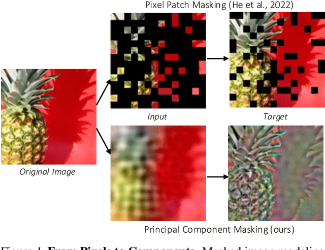 Figure 1 for From Pixels to Components: Eigenvector Masking for Visual Representation Learning