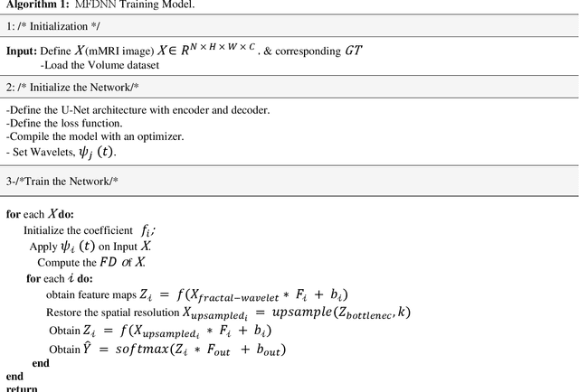 Figure 1 for Computational Modeling of Deep Multiresolution-Fractal Texture and Its Application to Abnormal Brain Tissue Segmentation
