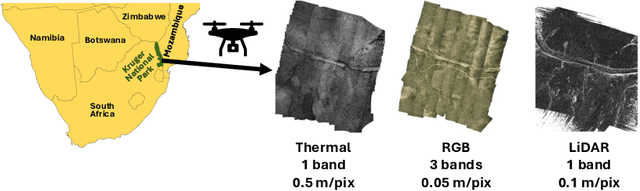 Figure 1 for Multimodal Fusion Strategies for Mapping Biophysical Landscape Features