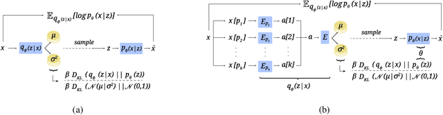 Figure 3 for Incorporating Prior Knowledge in Deep Learning Models via Pathway Activity Autoencoders