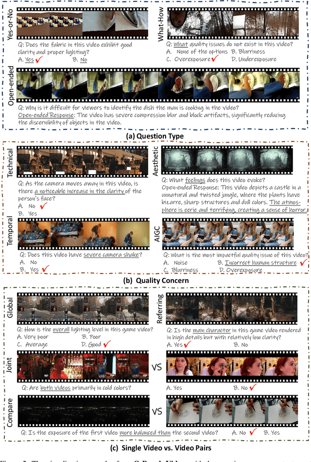 Figure 3 for Q-Bench-Video: Benchmarking the Video Quality Understanding of LMMs