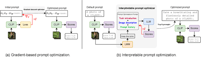 Figure 1 for IPO: Interpretable Prompt Optimization for Vision-Language Models