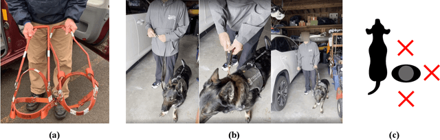 Figure 1 for Towards Robotic Companions: Understanding Handler-Guide Dog Interactions for Informed Guide Dog Robot Design
