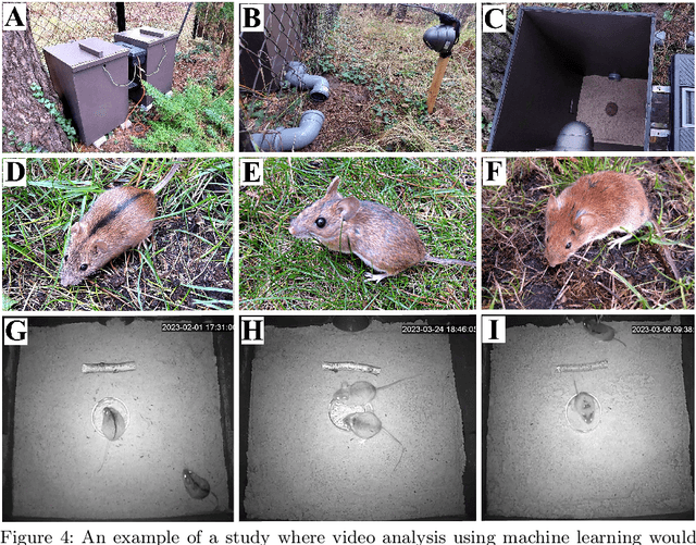 Figure 2 for Citizen Science and Machine Learning for Research and Nature Conservation: The Case of Eurasian Lynx, Free-ranging Rodents and Insects