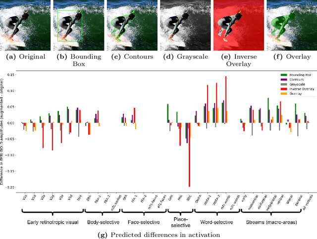 Figure 1 for Generalizability analysis of deep learning predictions of human brain responses to augmented and semantically novel visual stimuli