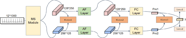 Figure 1 for A Multi-Resolution Mutual Learning Network for Multi-Label ECG Classification