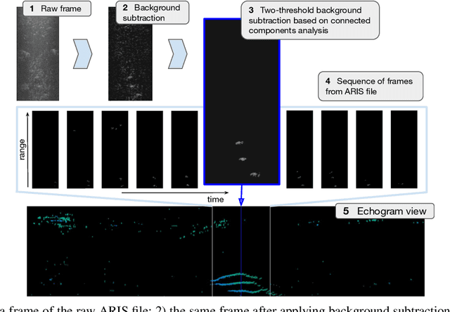 Figure 1 for Counting Fish with Temporal Representations of Sonar Video