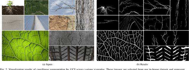 Figure 2 for UCS: A Universal Model for Curvilinear Structure Segmentation