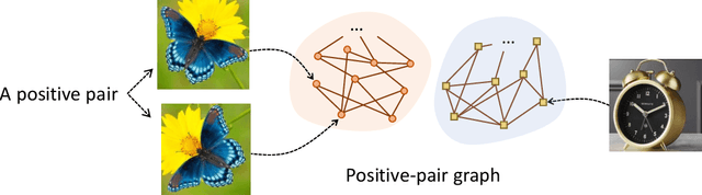 Figure 3 for A Theoretical Study of Inductive Biases in Contrastive Learning